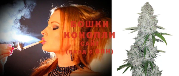 apvp Нягань
