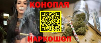 гидра Гатчина