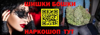 гидра Гатчина