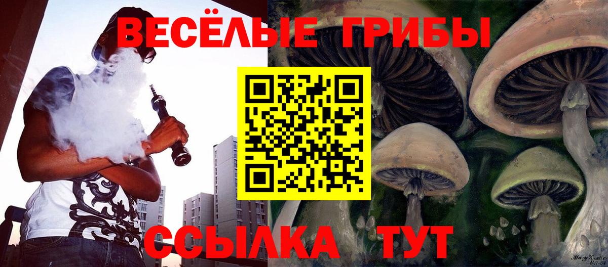 Псилоцибиновые грибы мицелий  Псилоцибиновые грибы мухоморы  Вход с VPN  Зеленогорск 