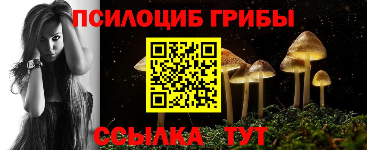 Псилоцибиновые грибы прущие грибы Зеленогорск